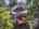 Blurred preview of media: 13-pautuck-road-highland-lakes-nj-usa-drone-009