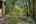 Blurred preview of media: 53-10565_SW_Cormorant_Dr