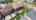 Blurred preview of media: 143