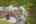 Blurred preview of media: j88