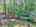 Blurred preview of media: DJI_20250603145030_0662_D_1_0663_D_1_0664_D_easyHDR