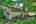 Blurred preview of media: IMG_0901_2_3_easyHDR