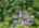 Blurred preview of media: 51-roosevelt-trail-hopatcong-nj-usa-drone-006