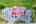 Blurred preview of media: DJI_0008_09_10_easyHDR