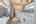 Blurred preview of media: 24