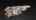Blurred preview of media: Jarett-Mutts-Photography-06082018_060726