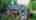 Blurred preview of media: DJI_0194