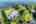 Blurred preview of media: DJI_0775 copy 2