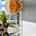 Blurred preview of media: 34 Cutter Lane Amesbury Massachusetts Job 41195 0001