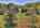 Blurred preview of media: DJI_20250802145702_0715_D_6_D_7_D_easyHDR