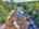 Blurred preview of media: DJI_20250802143727_0598_D_599_D_600_D_easyHDR