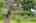 Blurred preview of media: 260105-2a