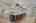Blurred preview of media: DSC01464