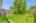 Blurred preview of media: 21