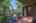 Blurred preview of media: 1580 Blakcomb Court 00005
