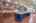 Blurred preview of media: DSC02386