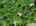 Blurred preview of media: 76-shades-of-death-road-great-meadows-n-j-drone-006