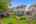 Blurred preview of media: IMG_7358