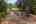 Blurred preview of media: 1-42