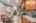 Blurred preview of media: 129MorrisSt-26
