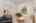 Blurred preview of media: 1-10