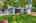Blurred preview of media: 9924 Silver Maple Way 00005