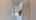 Blurred preview of media: Unknown media