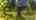 Blurred preview of media: 47