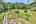 Blurred preview of media: DJI_0164_5_6_easyHDR