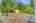 Blurred preview of media: 32