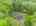 Blurred preview of media: 66 Woobly Road Bolton Massachusetts Job 39072 0072