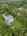 Blurred preview of media: DJI_20250905120445_0009_D