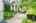 Blurred preview of media: 166 Foxridge Dr, Ancaster _ Nathan Ferro1009