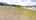 Blurred preview of media: 2-Daffodil-Drive-04112025_181821