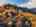 Blurred preview of media: DJI_0111_hdr (2)