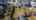 Blurred preview of media: 56