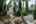 Blurred preview of media: 20250808L_lg_JW0023