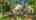 Blurred preview of media: Stonegate-6