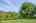 Blurred preview of media: IMG_0286