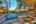 Blurred preview of media: IMG_6482_3_4_easyHDR