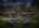 Blurred preview of media: backyard Image May 12, 2026 at 07_08_45 PM