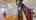 Blurred preview of media: Unknown media