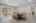 Blurred preview of media: 1-12