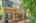 Blurred preview of media: DSC00559