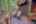 Blurred preview of media: PAX_1902