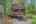 Blurred preview of media: PAX_1905