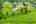 Blurred preview of media: DJI_0929 copy 2