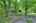 Blurred preview of media: IMG_0994_5_6_easyHDR