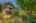 Blurred preview of media: 06