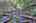 Blurred preview of media: 9zi